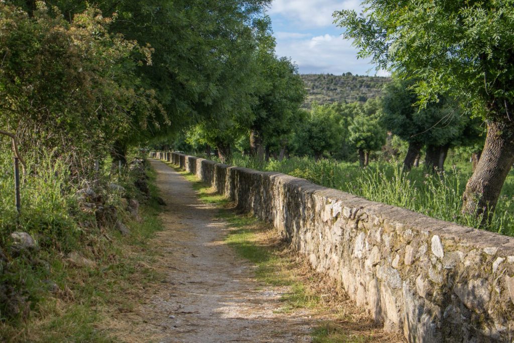 Entrada Navalafuente